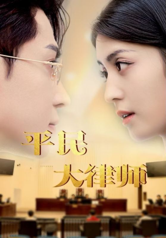 平民大律师 第21-40集