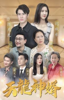天龙神婿 第41-60集