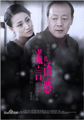 谎言的诱惑 第24集