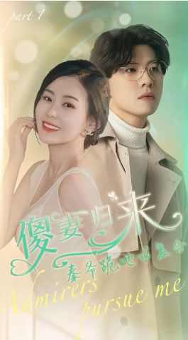 傻妻归来秦爷跪地求复合 第41-60集