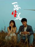 一路“生”花(全集)